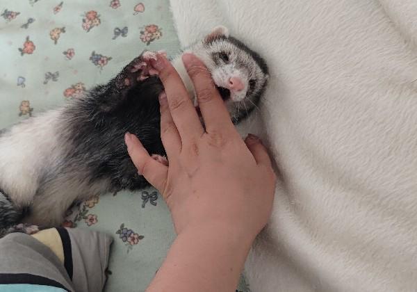 晋北：大同-朔州-忻州（未完成）