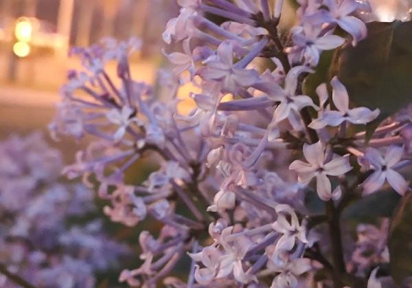 逃离工位两日久