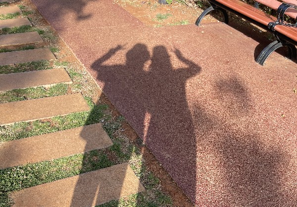 普洱