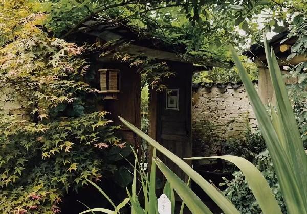 新昌天台2025.05.01-05.03