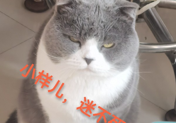 大连