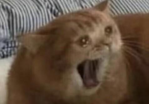保定