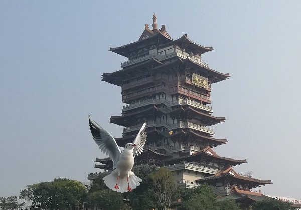 绵阳