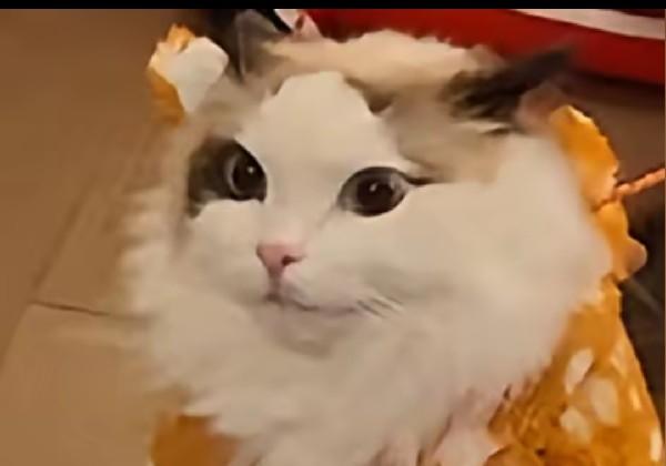 久下智的威尼斯地图