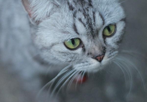 海陵岛一日+半日返程自驾0元游