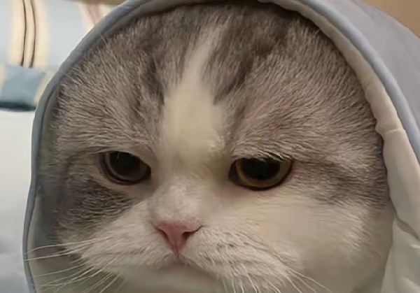 北海