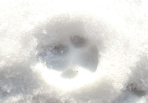 【已完成】芜湖