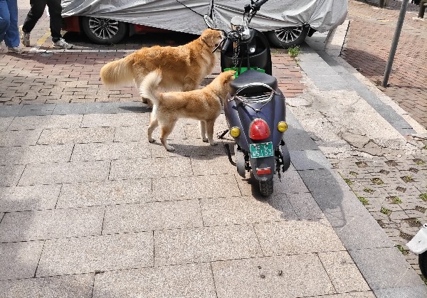 防城港