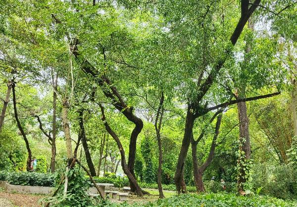 湛江三天两晚游