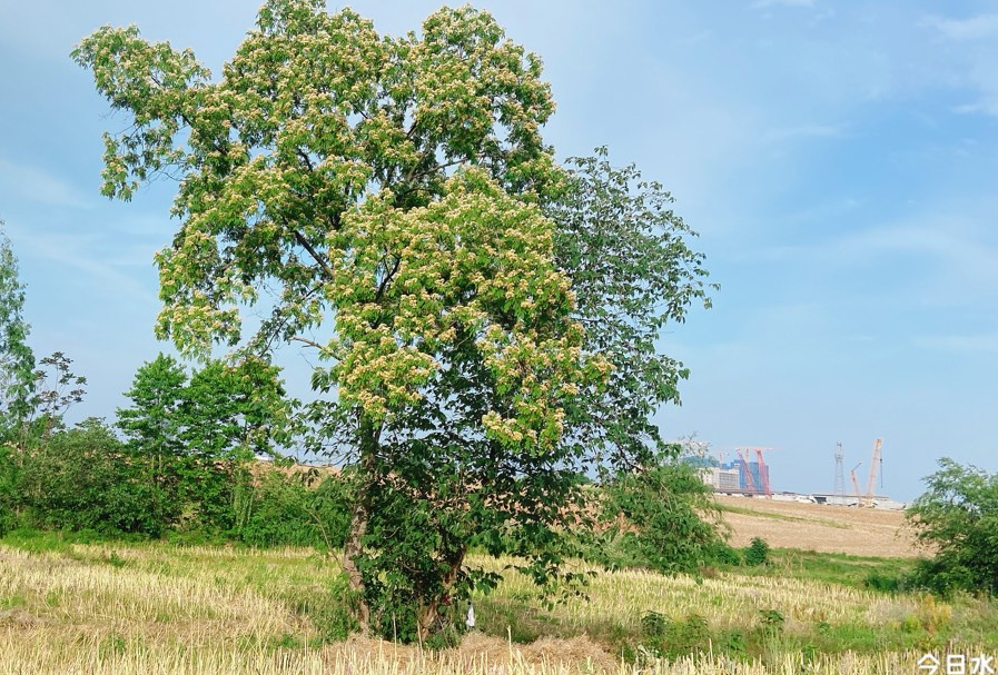 桂林-阳朔-柳州