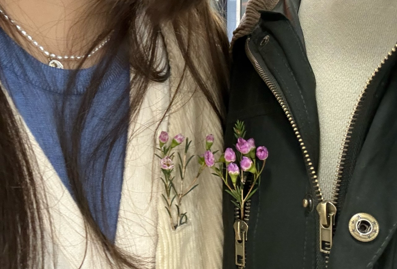 内蒙赏秋菊菊制作
