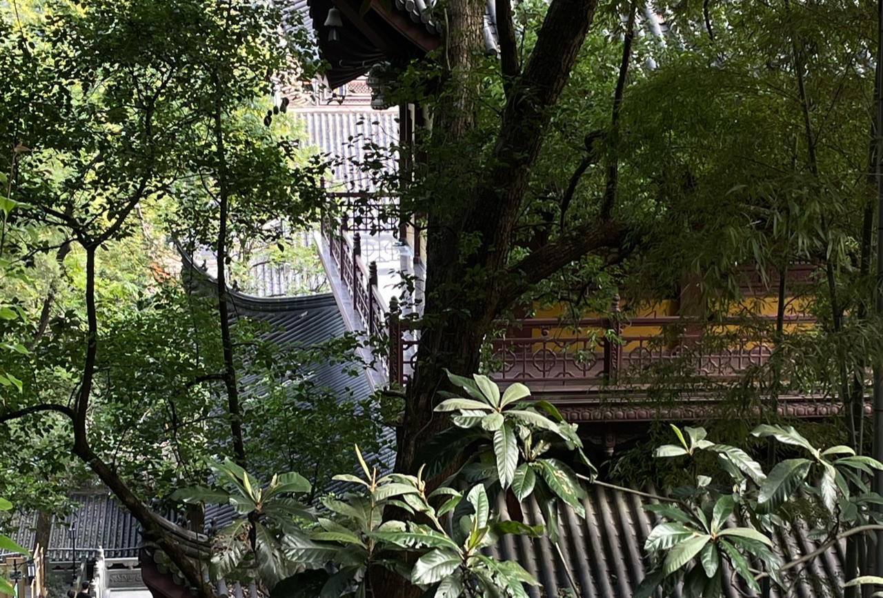 台州三天两晚攻略