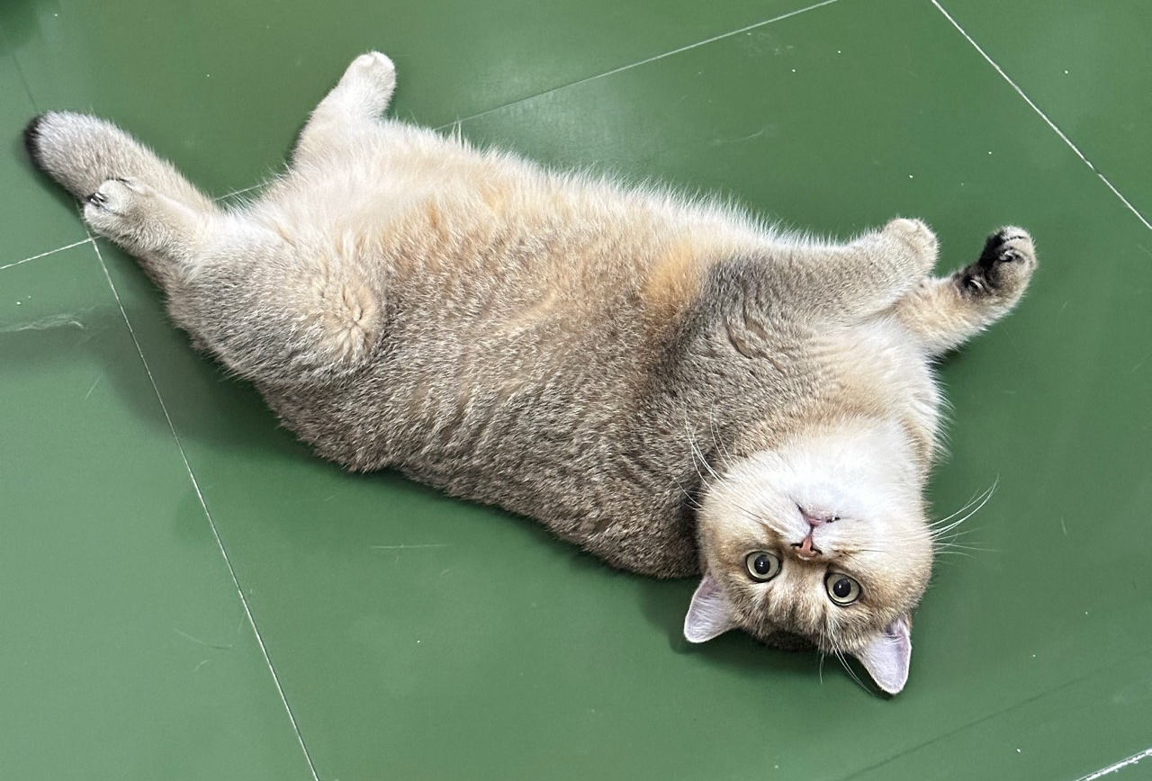 贺州