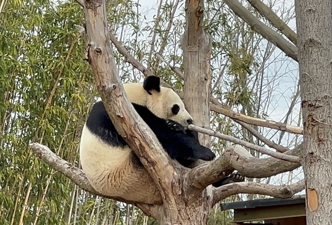 仪征吃喝玩