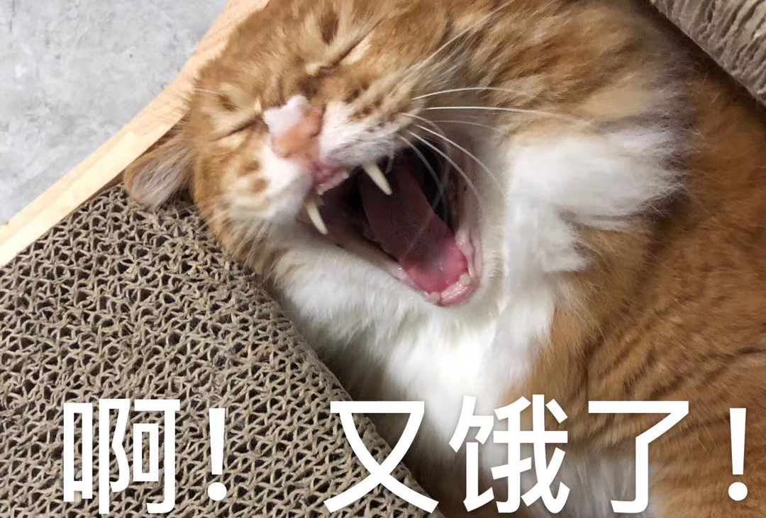 小烔在中山吃什么