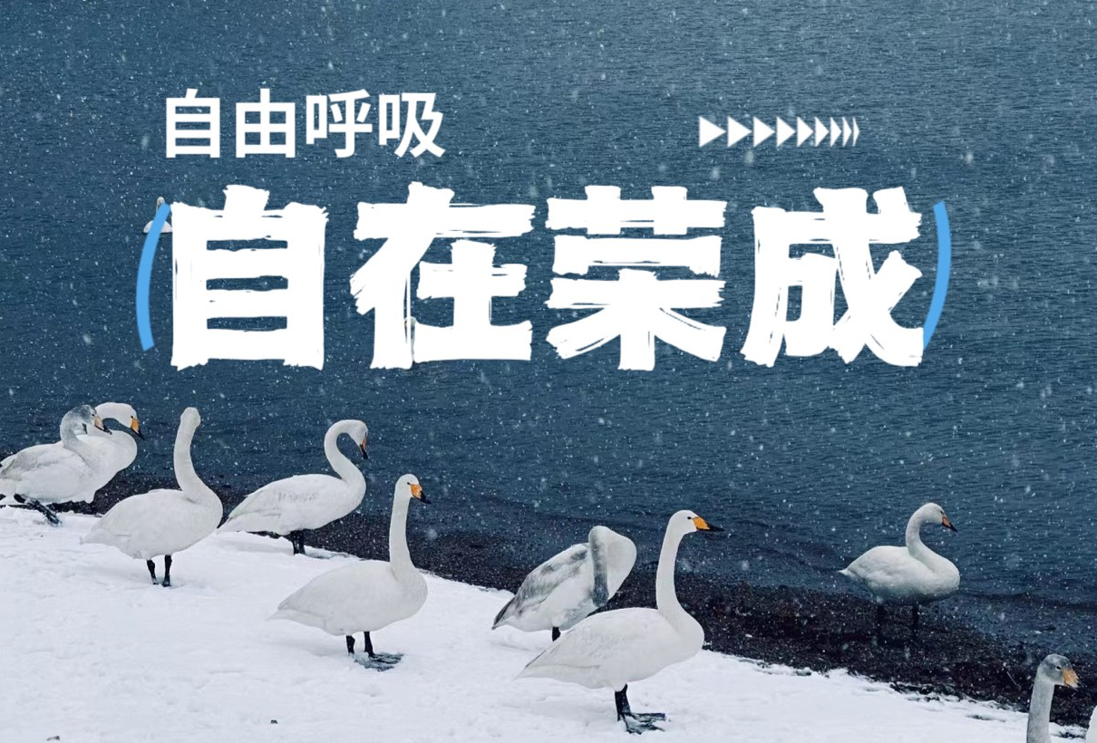 自由呼吸，自在荣成