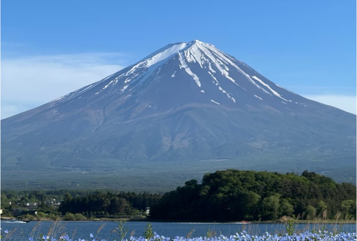 富士山箱根伊豆东京9天路线