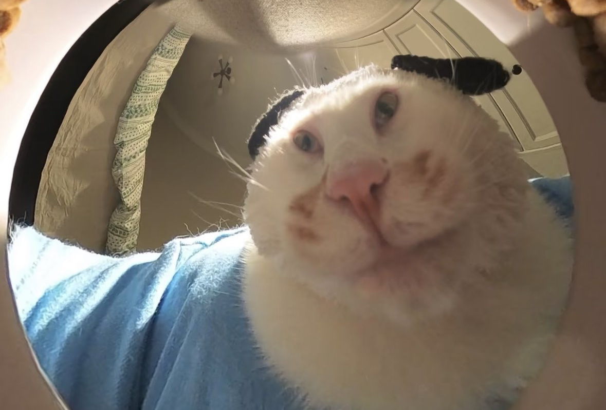 202402长白山-延吉-哈尔滨