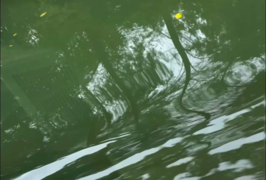 河北石家庄、正定一天半游