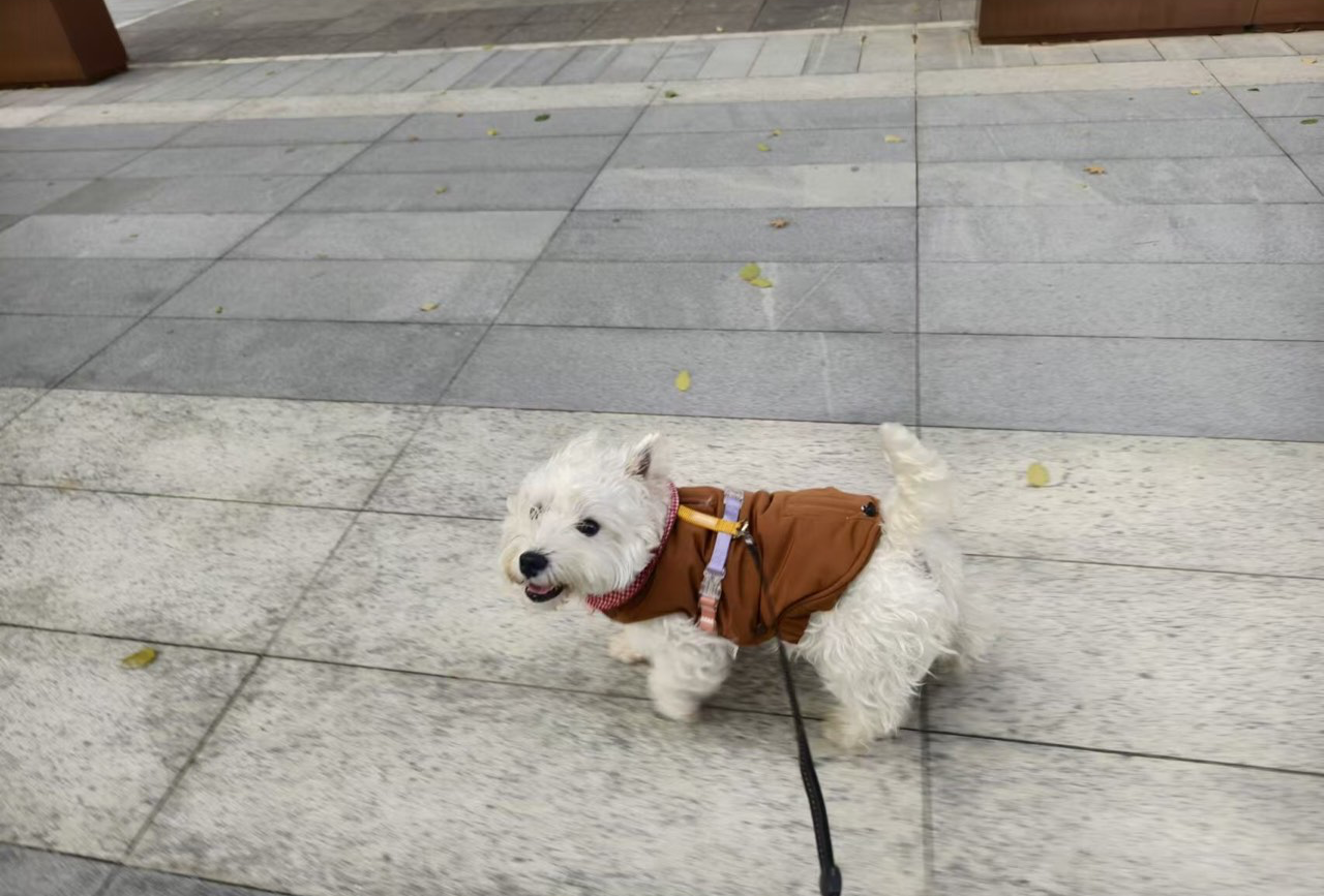 海宁