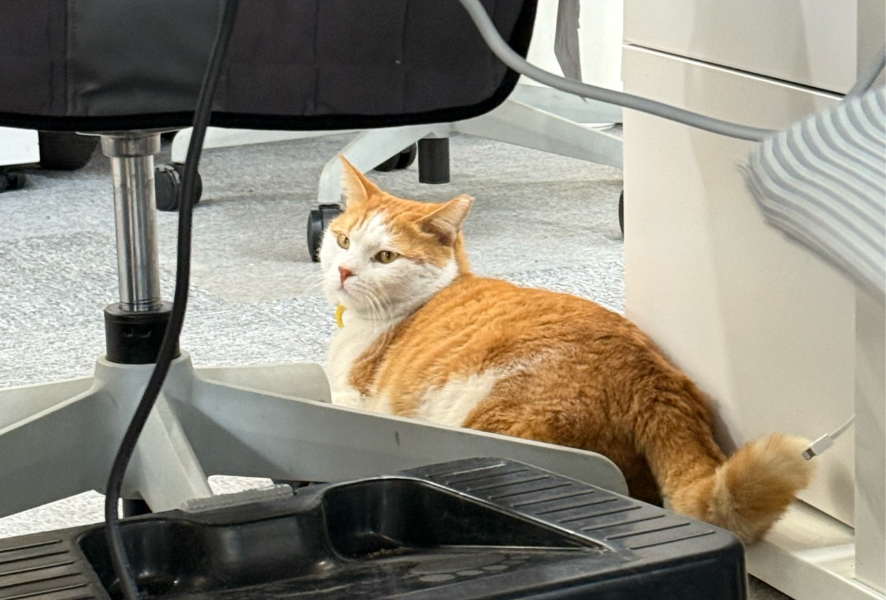 Edinburgh travel map