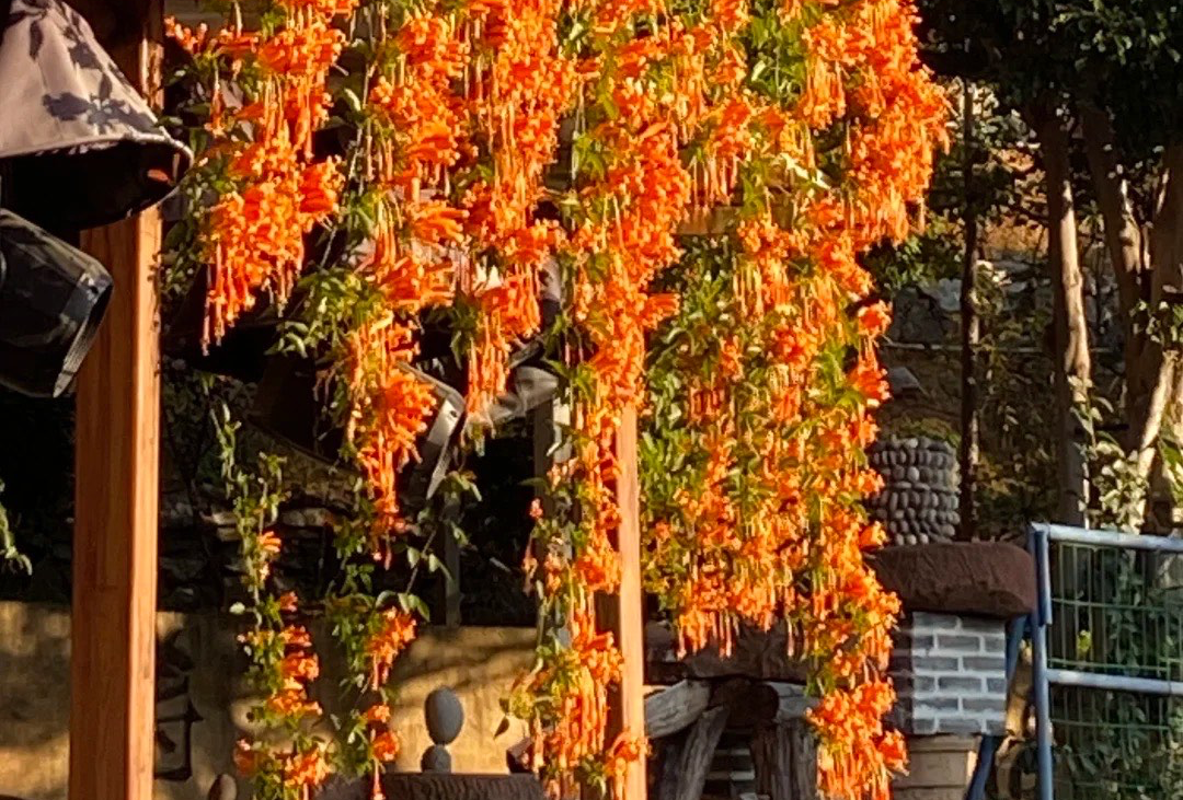 攀枝花寒假旅游攻略