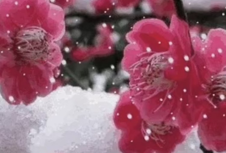 一个人的岳阳行