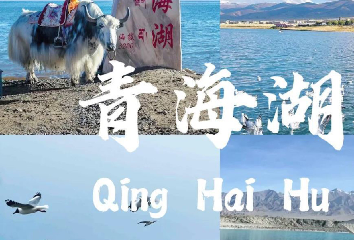 2025青甘旅行(已做好)