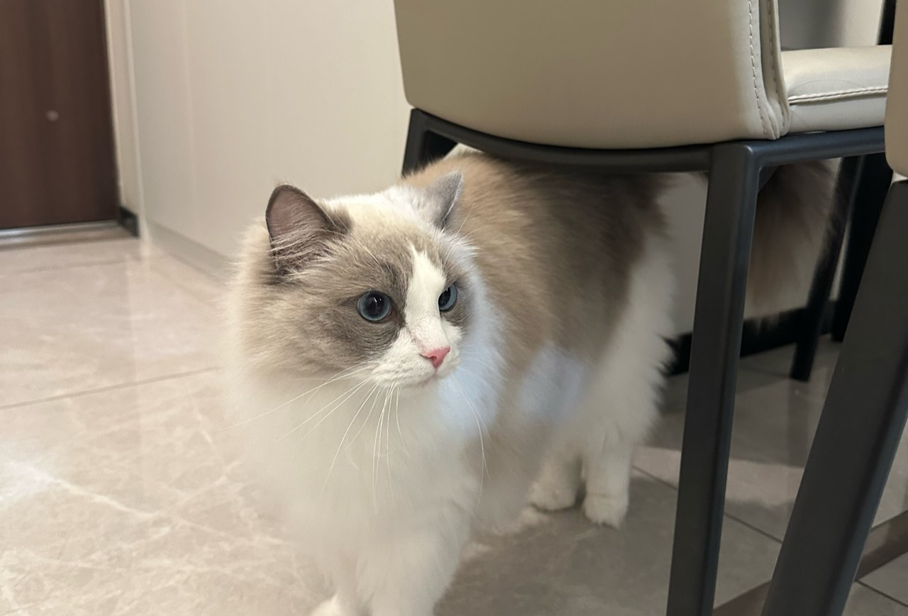 马喜乐温州攻略