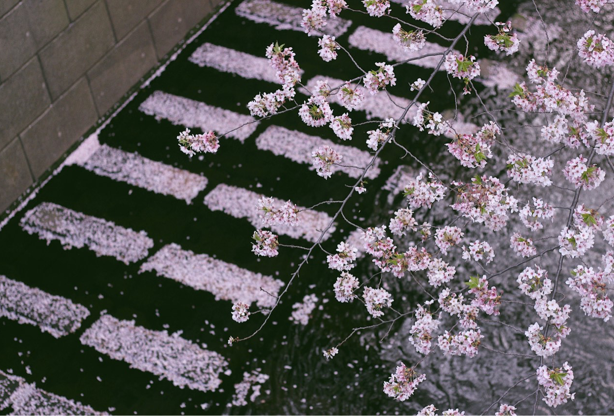 东京富士山镰仓