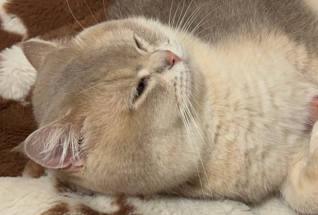 普宁美食筛选版