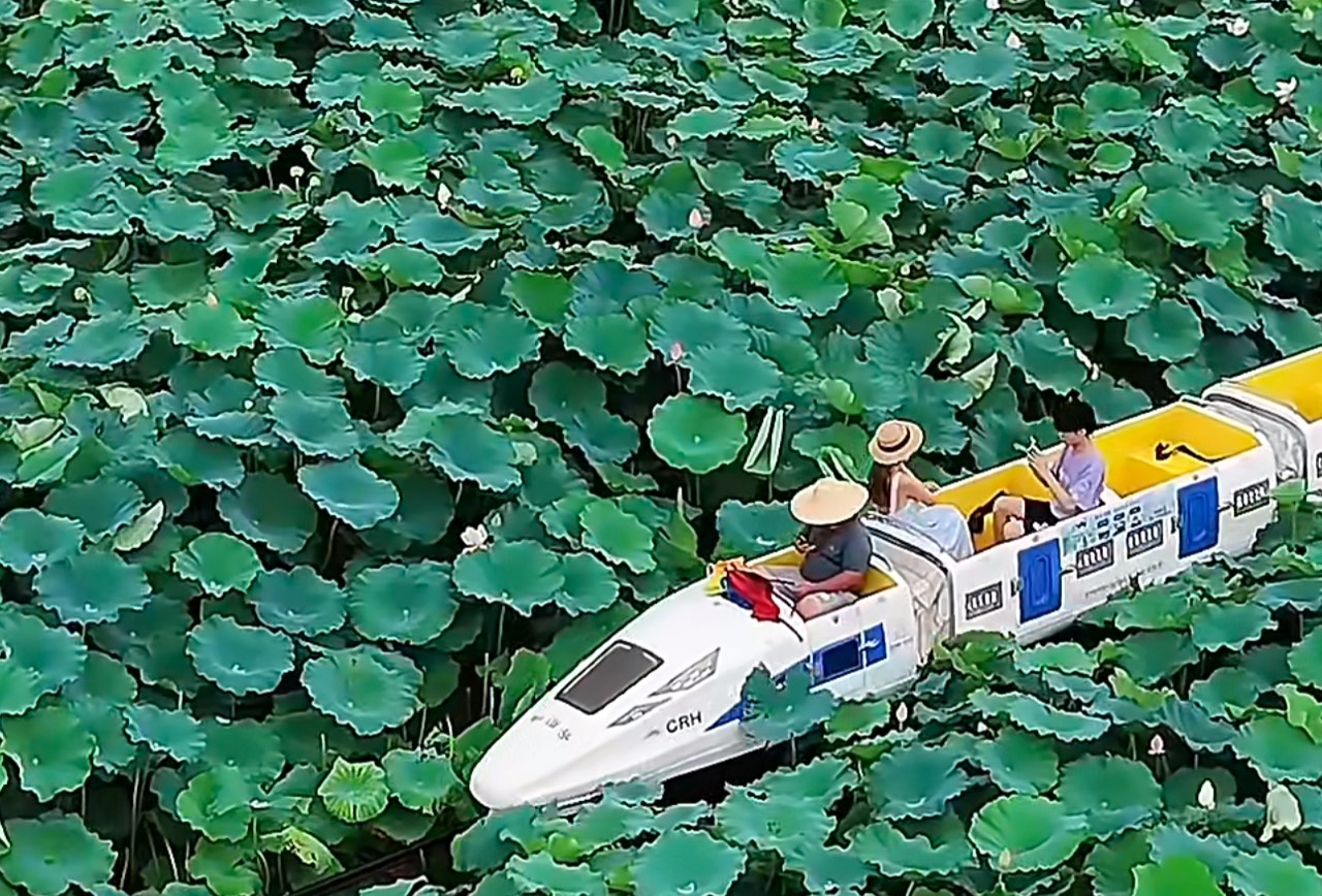 贵港3天3夜（7.8月）