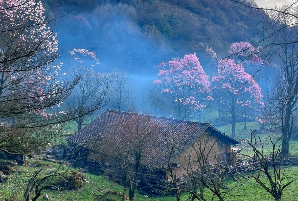 江油