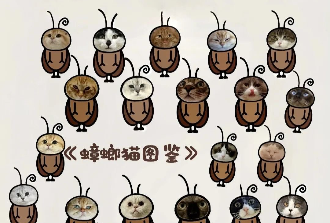 宏村