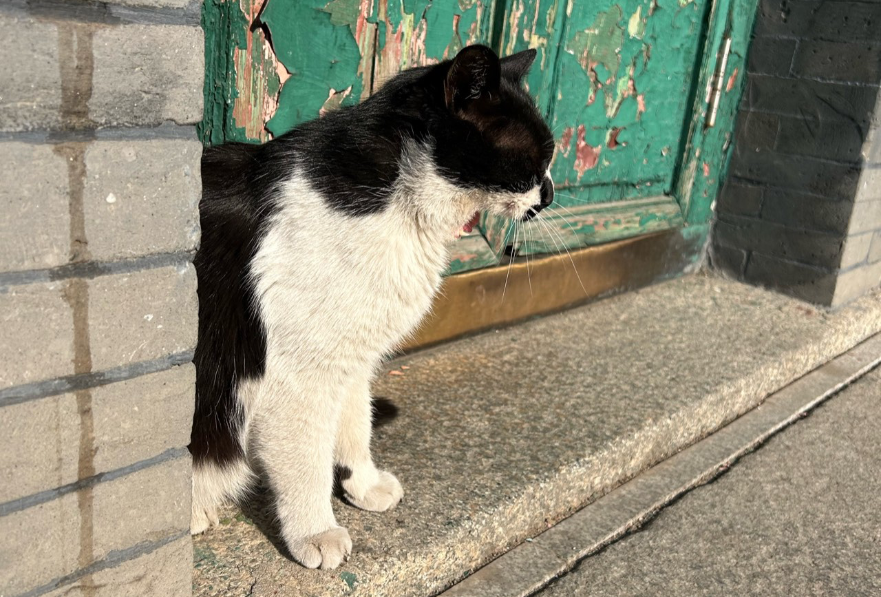 丹东