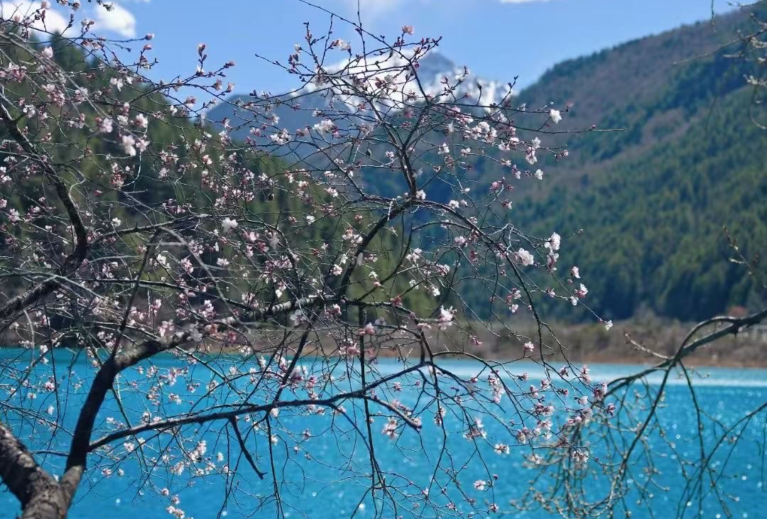 九寨沟