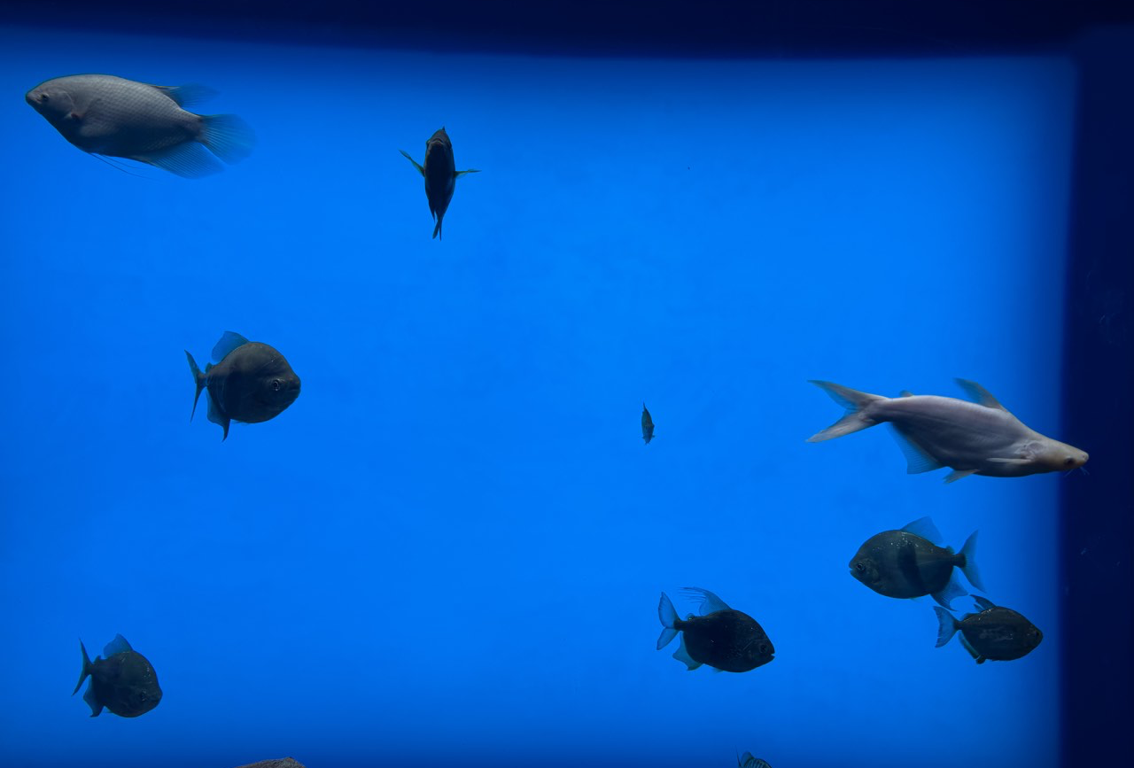 桐乡乌镇三天两晚