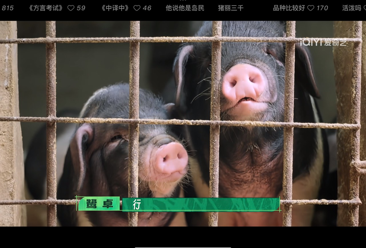揭阳