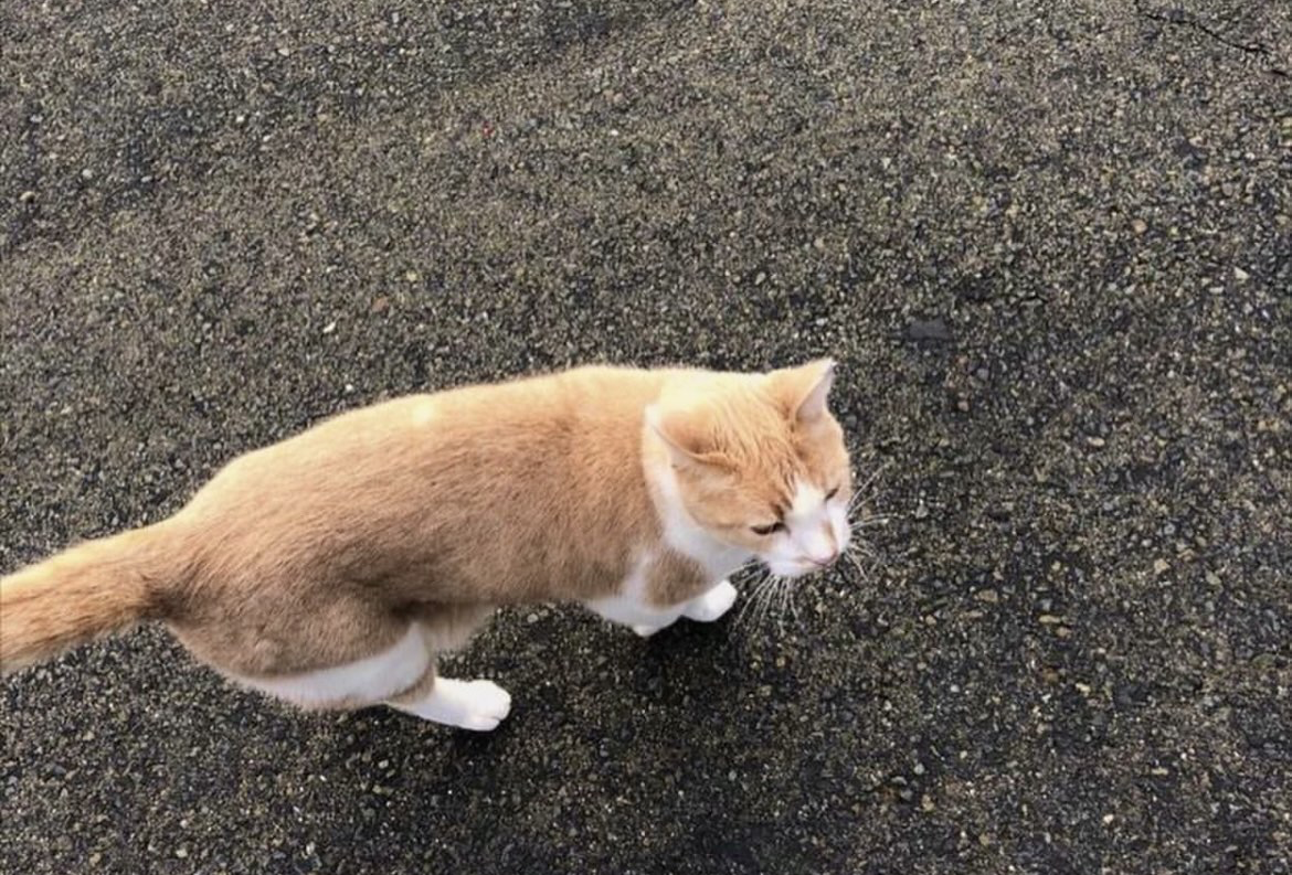 咸阳