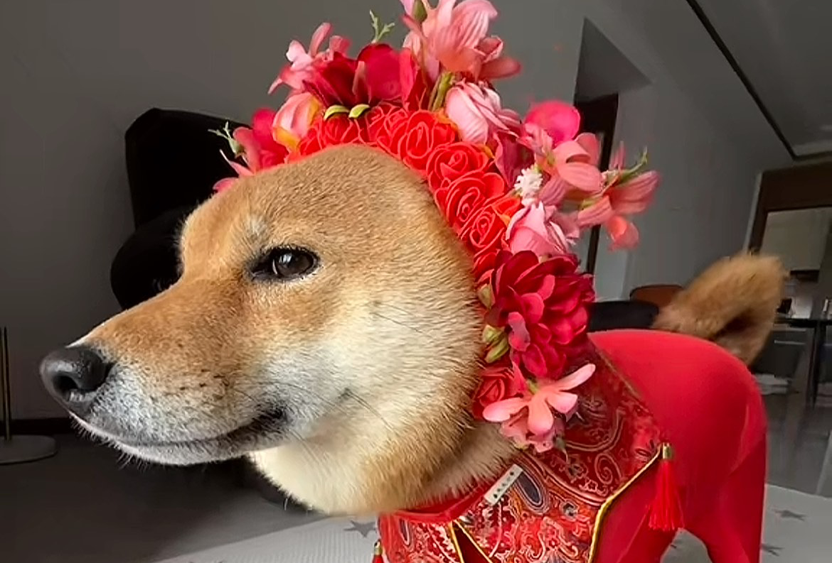 湛江