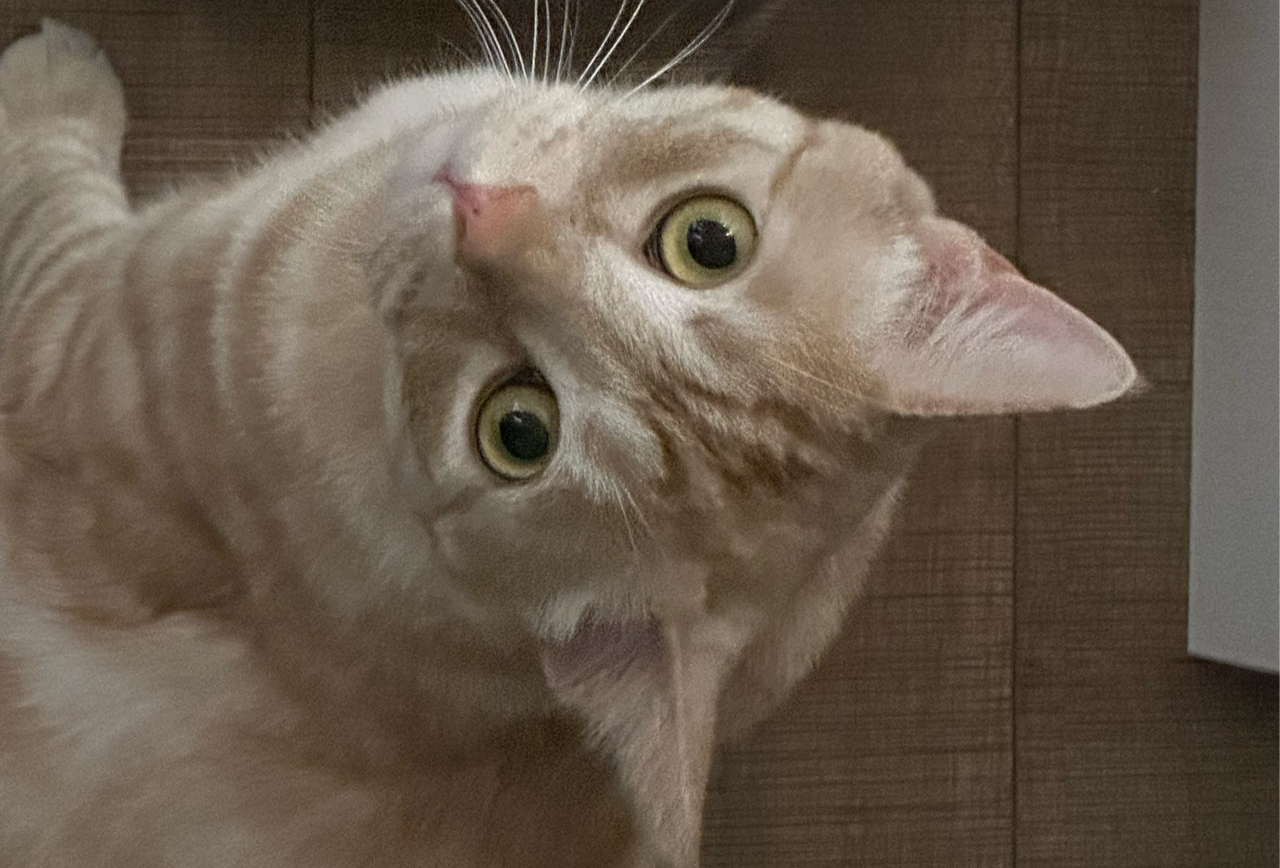 广汉-三星堆-2日