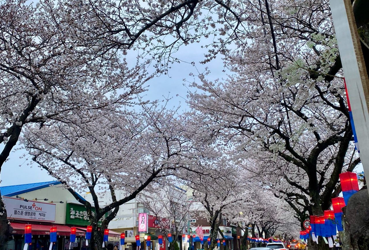 春暖花开名古屋