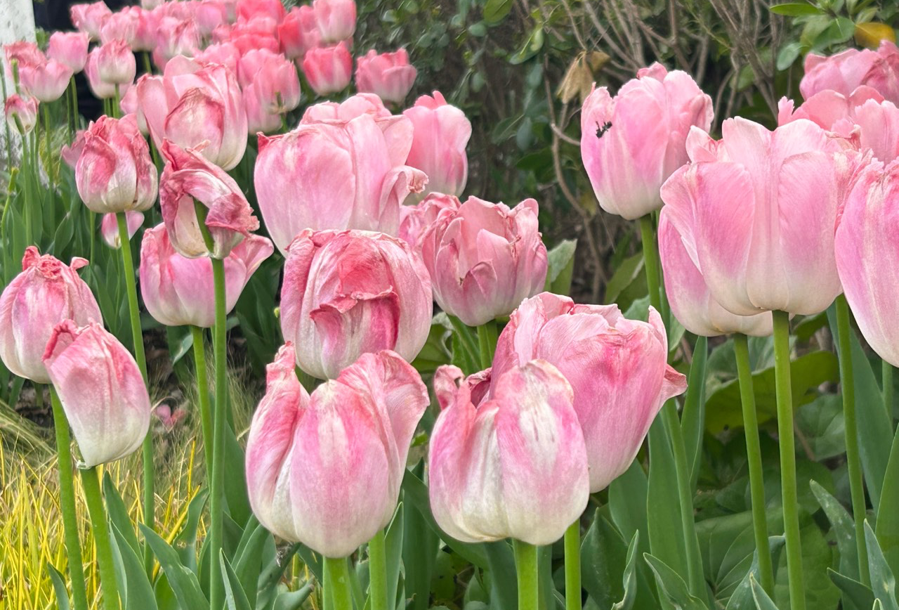 名古屋短途旅行