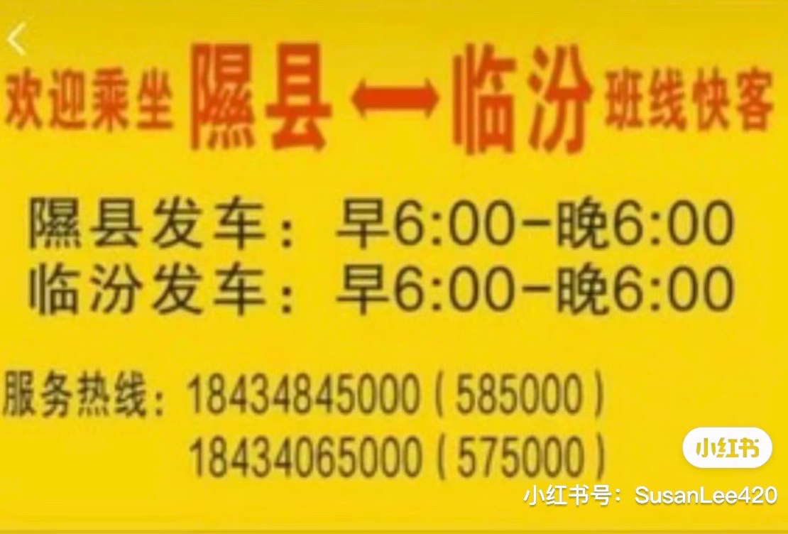 晋南狗一狗