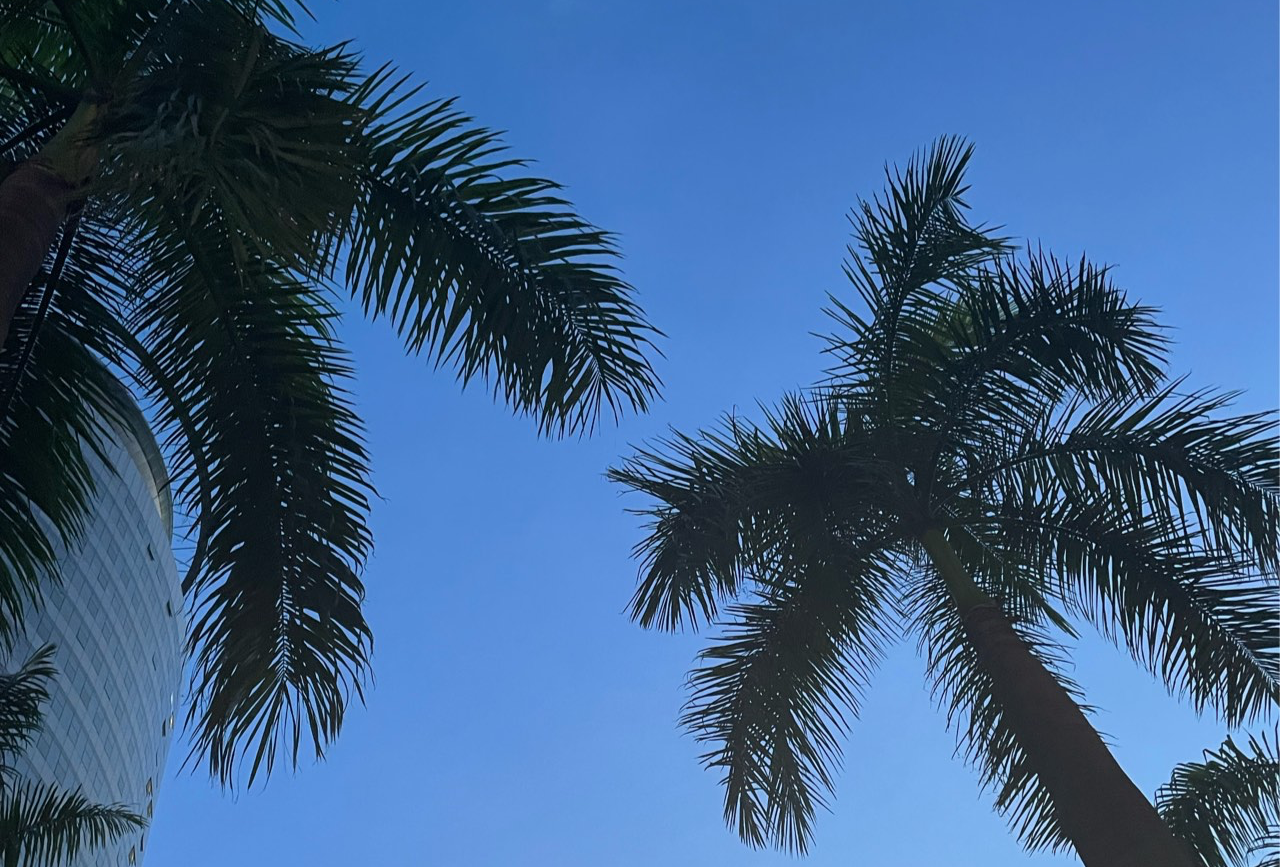 糯糯广西梧州之旅