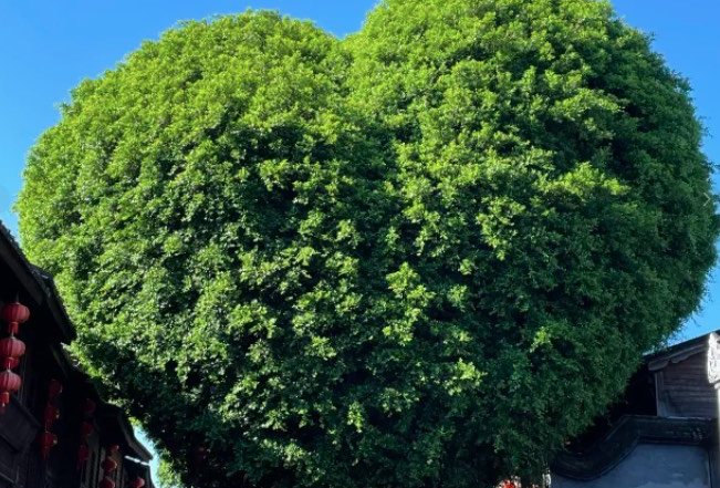 福州三坊七巷一日游