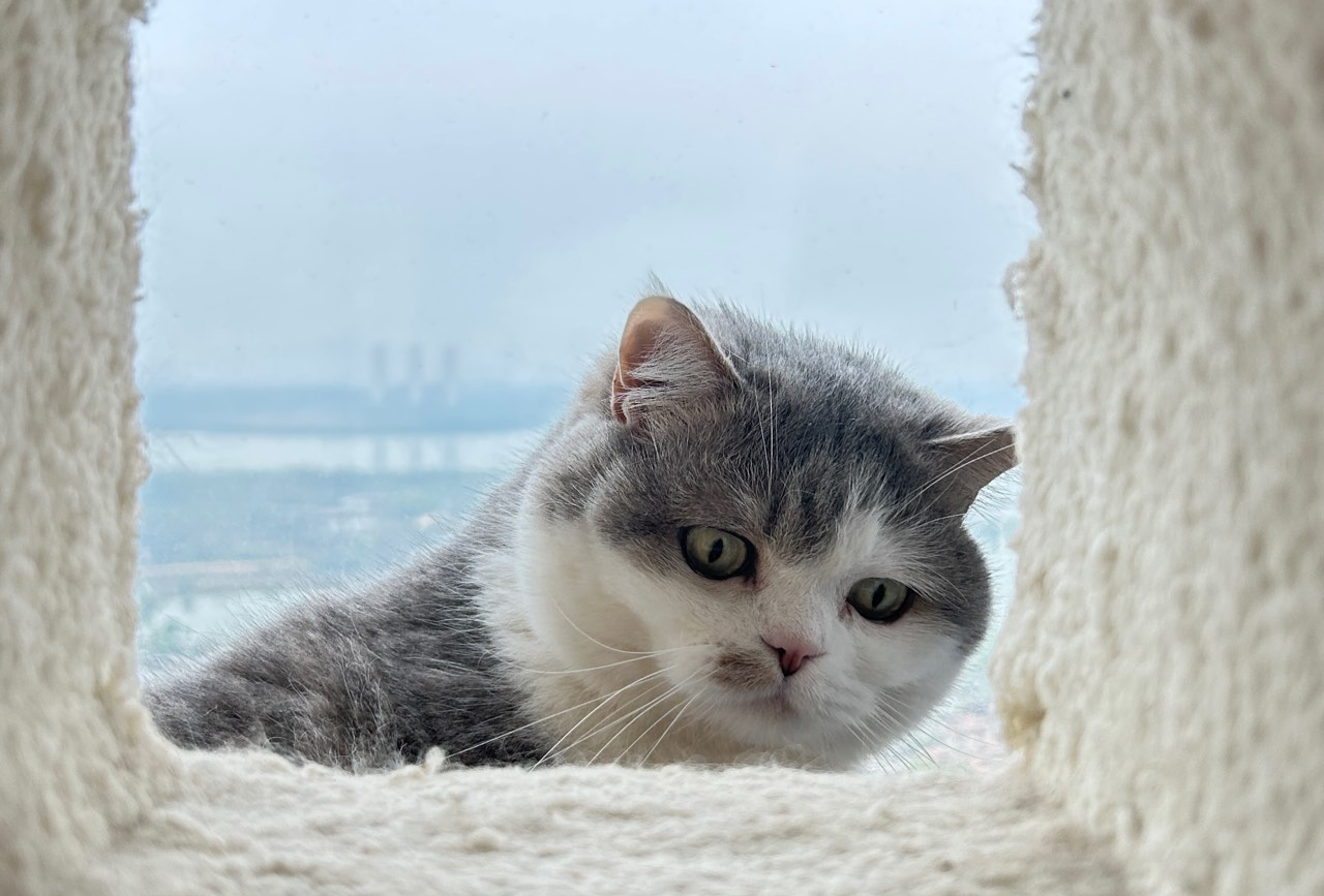 港澳珠海