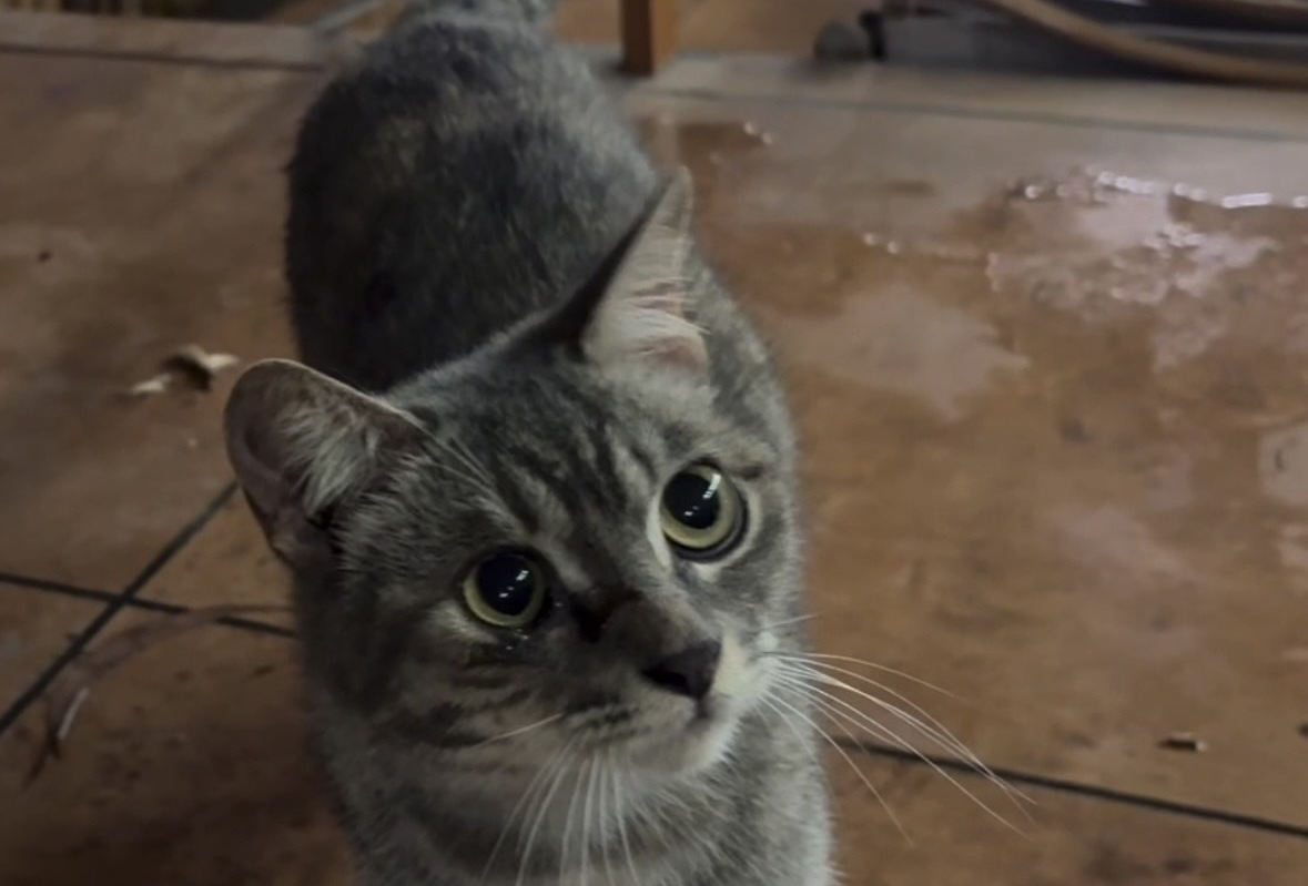 海陵岛游玩路线