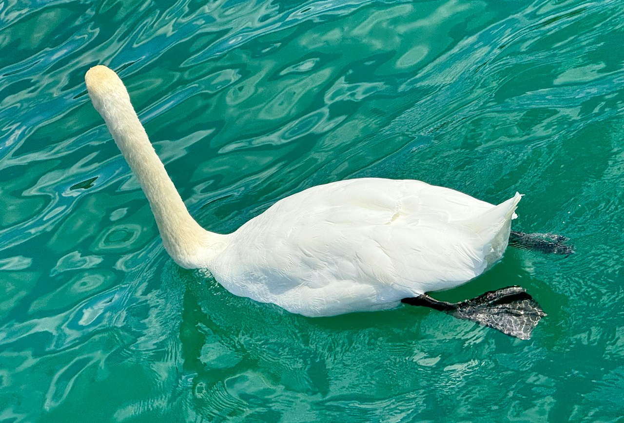 2024-Switzerland & Greece