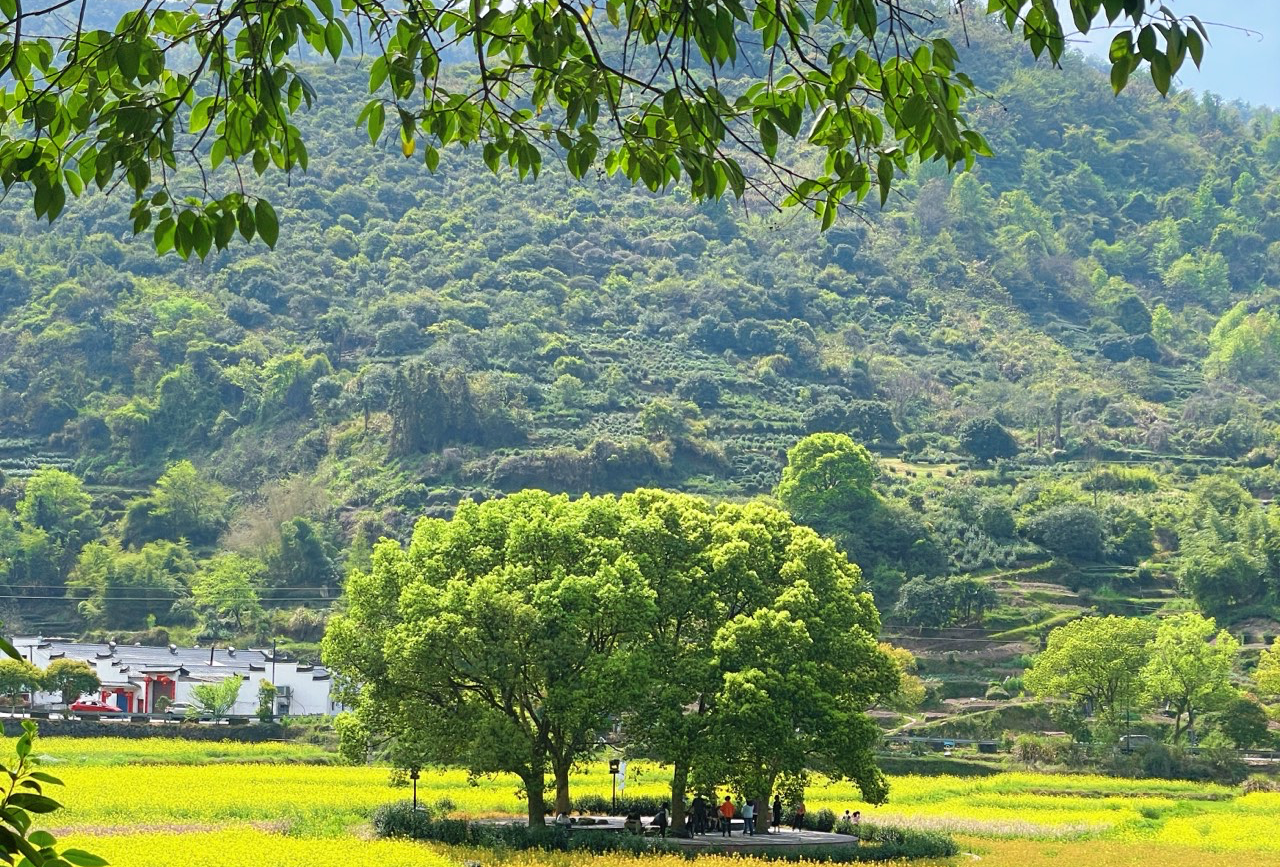 南平寺
